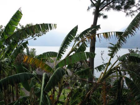 Guatemala se promociona como destino de salud en Estados Unidos